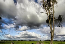 AC米兰对阵佛罗伦萨最终比分是多少？这场比赛有哪些关键看点？